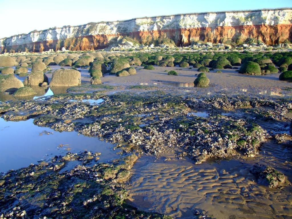 The Shellbrooke Hotell Hunstanton Exteriör bild